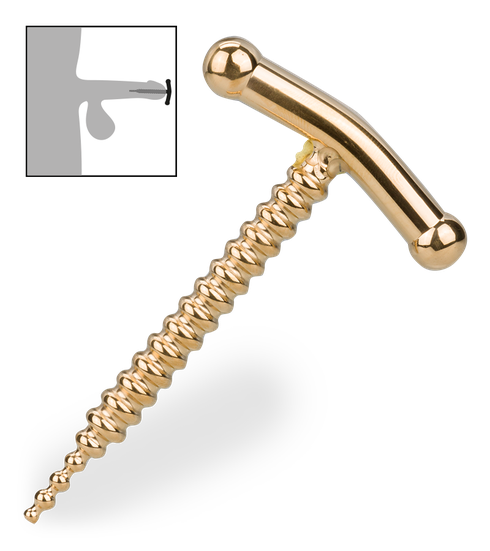 Dragonfly penis plug